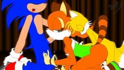 anthro blackcat breasts canine cub cum female fox fur furry hair hedgehog male marine_the_raccoon nude orgasm penis sega sex sonic_(series) sonic_the_hedgehog straight tails