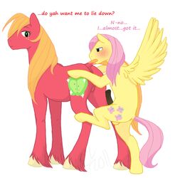 big_macareina_(mlp) big_macintosh_(mlp) butterscotch_(mlp) cartoonlion earth_pony equine female fluttershy_(mlp) friendship_is_magic hasbro horse male mammal my_little_pony pegasus penis pony pussy rule_63 size_difference straight_hair