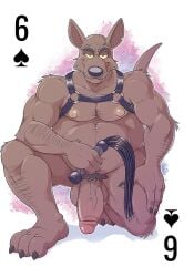 1boy anthro anti_dev armpit_hair bald balls ballsack bdsm_gear bdsm_outfit beefy big_belly big_penis body_fur body_hair bondage brown_body brown_fur brown_nipples card cat_o'_nine_tails chest_hair chest_harness claws dominant dominant_male eyebrows flogger foreskin foreskin_folds game_card genitals gunnar's_dad hairy_balls harness humanoid_penis incestaroos intact kangaroo kneeling macro macropod male male_nipples male_only male_pubic_hair mammal marsupial mature_male mostly_nude_male musclegut muscles muscular_male pecs penis playing_card pubes retracted_foreskin scrotum semi-erect smile solo tail testicles thick_eyebrows uncut vein veiny_balls veiny_penis yellow_eyes