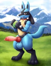 animal_genitalia animal_penis balls canine_genitalia canine_penis collar erection generation_4_pokemon genitals hi_res knot lucario male nintendo outside penis pokemon pokemon_(species) solo ximorexx