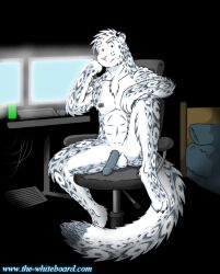 anthro balls blue_eyes chest_tuft doc_nickel erection felid feline frosty_(the_whiteboard) fur furry_only genitals inner_ear_fluff leopard male mammal nipples nude pantherine penis smile snow_leopard solo spots tail the_whiteboard tuft webcomic webcomic_character