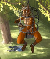 2023 ankle_cuffs anthro bondage bondage bound cage caged canid canine caught chastity_cage chastity_cage_only chastity_device clothing collar cuff_(restraint) discarded_clothing dusty_foxwood_(dusty0071) escape fox hanging_cage hi_res lock locked lockpick lockpicking male mammal nude outdoor_nudity outside plant prisoner restraints shackled_ankles shackles solo sweetchillicracker trapped tree