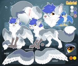 2021 anus avian bird blue_hair canid canine female feral fluffy fluffy_tail fox fur gabriel_serealia genitals grey_body grey_fur hair hi_res hioshiru hybrid mammal model_sheet pussy solo tail white_body white_fur wings