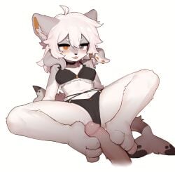 2023 3_toes ahoge anthro anthro_focus blep bra breasts camel_toe canid canine choker claws clothed clothing crayon_(artist) digital_media_(artwork) disembodied_penis duo erection feet female female_anthro female_focus foot_fetish foot_play footjob fur genitals hair heterochromia hi_res humanoid_genitalia humanoid_penis hybrid jewelry kemono lingerie male male/female mammal navel necklace panties paws penis sex solo_focus spread_legs spreading tail tentacle toe_claws toes tongue tongue_out underwear