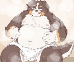 2023 anthro balls belly bernese_mountain_dog big_belly black_body black_fur black_nose blush canid canine canis domestic_dog fur genitals humanoid_hands kemono kotadash male mammal molosser moobs mountain_dog navel nipples overweight overweight_male solo steam swiss_mountain_dog tongue tongue_out towel white_body white_fur