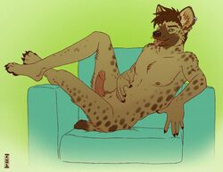 erection hyena kannos male male_only nude penis piercing solo spotted_hyena