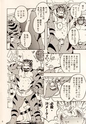 bovine build_tiger bull buttertoast comic feline furry gamma-g gay japanese male manga muscles no_humans penis tiger