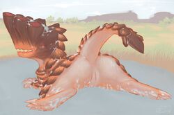 2011 anus barroth brute_wyvern capcom fabuchs female looking_back monster_hunter monster_hunter_3 on_front outside presenting pussy raised_tail sandy_plains_(map) solo source_request tail unknown_species water wet