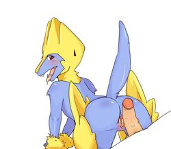 manectric from nintendo by b-intend