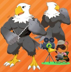 animal_crossing anthro apollo_(animal_crossing) ass avian avian_humanoid bara barazoku beak clothing eagle featureless_crotch furry male male_only muscular muscular_anthro muscular_male naked naked_male nintendo no_pants pantsless talons thighs tom_nook unzipped