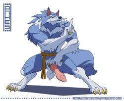 anhes anthro balls bara barazoku blue_fur boner canine canine_penis capcom darkstalkers erection furry jon_talbain knotted_penis male male_only muscles muscular muscular_male nude penis shushing solo solo_male werewolf wolf