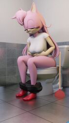 anthro bathroom bathroom-art_(artist) bottomwear bottomwear_down breasts clothed clothing eulipotyphlan fan_character feces female fur hair hedgehog hi_res mammal nude pants pants_down partially_clothed plunger scat sega solo sonic_(series) sonic_the_hedgehog_(series) toilet