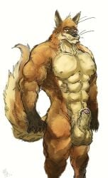 anthro aokmaidu balls bara barazoku boner erection fox furry male male_only mongrels muscles muscular nelson(fox) nude penis solo solo_male