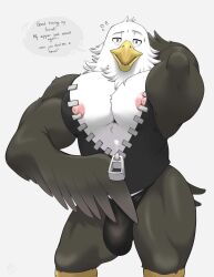 animal_crossing anthro apollo_(animal_crossing) avian avian_feet beak black_clothing bulge bulge_through_clothing dialogue eagle english furry inviting_viewer looking_at_viewer male male_only muscular muscular_anthro muscular_arms muscular_male muscular_thighs nintendo nipples no_pants pectorals penis pink_nipples sleeveless solo solo_anthro solo_focus solo_male talking_to_viewer text thick thick_thighs thighs wardrobe_malfunction white_body yellow_beak zipper