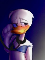 anthro bird blush bra collar disney donald_duck duck ducktales embarrassed femboy furry leash