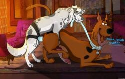 anal anal_sex canid canine canis collar domestic_dog dominant dominant_female duo erection eye_roll female female_penetrating female_penetrating_male feral feral_on_feral feral_only feral_penetrated feral_penetrating feral_penetrating_feral from_behind_position great_dane hanna-barbera hi_res holidaypup hybrid knot leash leash_pull leashed_collar looking_pleasured male male/female male_penetrated mammal mastiff molosser mounting object_in_ass paws pegging penetration penis raised_leg scooby-doo scooby-doo_(character) sex sex_toy sex_toy_in_ass sex_toy_insertion sex_toy_penetration strap-on strapon submissive submissive_female sylver_(sylvertears) toying_partner uncensored vein veiny_knot wolfdog