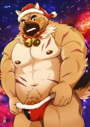 1boy abs absurdres animal_ears ass bad_id bad_twitter_id bara bell belly blush brown_fur bulge cowboy_shot daisukebear dog_boy dog_ears fur-trimmed_shorts fur_trim furry furry_male green_eyes hat highres large_pectorals male male_focus male_only male_pubic_hair muscular muscular_male navel neck_bell nipples official_alternate_costume paid_reward_available pectorals penis penis_peek plump pubic_hair santa_costume santa_hat scar scar_on_face shorts solo stomach thick_eyebrows thick_thighs thighs tokyo_afterschool_summoners topless_male undressing yasuyori