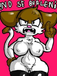 abdomen anger_vein angry angry_eyes angry_face anthro ass big_thighs breasts cat_ears cat_tail catgirl feline nipple_bulge penicilino123 pepitocuario123 pop_cat_al_ataque shortstack spanish_text talking_to_viewer