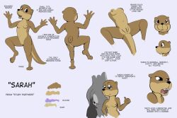 2girls ass breasts brown_fur character_profile character_sheet donkey jennifer_(study_partners) multiple_girls nipples nude nude_female otter pussy sarah_(study_partners) study_partners thunderouserections