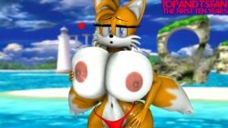 2023 3d 3d_(artwork) beach big_ass big_breasts bikini bikini_bottom bottomwear female female_only huge_breasts opandtsfan rule_63 sega sideass sloshing_breasts sonic_(series) tails tailsko topless