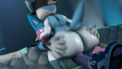 3d anal animated anthro_penetrated big_ass cowgirl_position femboy furry gay ironhawk male mp4 no_sound pokémon_(species) pokemon pokemon_(species) sylveon tagme video