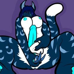 anthro aodhan balls blue breasts cyan feline full-package_futanari fur furry futanari herm hermaphrodite intersex kama lagomorph leopard macro micro multi_genitalia nightfire penis pussy rabbit sac small snow unbirthing vore