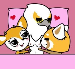 2023 2d 2d_(artwork) 3girls accurate_art_style aggressive_retsuko aggretsuko anthro areola areolae avian avian_humanoid bed belly_button bird blush blush_stickers breasts cuddling cute deer deer_girl female_only heart j_d_ navel netflix nipples pillow red_panda retsuko sanrio secretary_bird secretary_washimi self_upload sparkling_eyes trio trio_female tsunoda tsunoda_(aggretsuko) two_tone_body washimi wholesome yuri