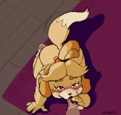 animal_crossing blowjob dog_girl fellatio heart-shaped_pupils isabelle_(animal_crossing) nude sloppyheadwind