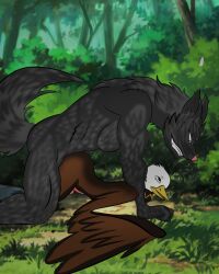 accipitrid accipitriform adlerseven anthro aroused avian bald_eagle bird blizzard_entertainment bodily_fluids canid canine canis duo eagle forest genitals hi_res male male/male mammal penis plant sea_eagle tears tree unknown_artist warcraft were werecanid wolf worgen