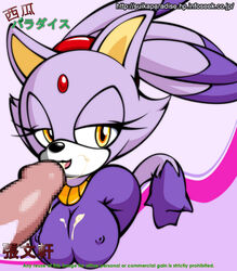 anthro big_breasts blaze_the_cat breasts censored clothed clothing cum cum_in_mouth cum_on_breasts disembodied_penis feline fellatio female fur furry licking maniacal_carrot oral oral_sex partial_male penis purple sega sex sonic_(series) tail tongue