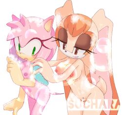 amy_rose anthro bathing blush breasts brown_body brown_eyes brown_fur duo eulipotyphlan female female/female fur furry genitals green_eyes head_tuft hedgehog hi_res lagomorph leporid mammal medium_breasts pink_body pink_fur pussy rabbit sega small_breasts sonic_(series) sonic_the_hedgehog_(series) sponge suchara0 suds tuft vanilla_the_rabbit washing yuri