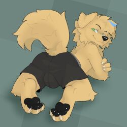 2023 3_toes 4_fingers all_fours anthro arched_back arm_support ass biped bird_dog black_boxer_briefs black_clothing black_eyebrows black_nose black_pawpads black_underwear blue_highlights boxer_briefs boxer_briefs_only boxers_briefs bulge canid canine canis claws clothed clothed_anthro clothed_male clothing decodecker detailed_bulge digital_media_(artwork) digitigrade domestic_dog eyebrows feet finger_claws fingers floppy_ears fluffy fluffy_tail forward_arm_support fur furgonomic_underwear furgonomics golden_retriever green_eyes grey_background hair hi_res highlights_(coloring) hindpaw hunting_dog looking_at_viewer looking_back looking_back_at_viewer lop_ears male male_anthro mammal maxwell_hawkins monotone_body monotone_fur narrowed_eyes partially_clothed partially_clothed_anthro partially_clothed_male pawpads paws pose presenting presenting_hindquarters raised_shoulders rear_view retriever simple_background smile smiling_at_viewer smirk smirking_at_viewer smug snout soles solo tail tail_through_underwear tan_arms tan_body tan_feet tan_fingers tan_fur tan_hair tan_legs tan_paws tan_tail tan_toes toe_claws toes topless topless_anthro topless_male underwear underwear_only white_claws