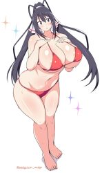 artist_name barefoot bikini blush curvaceous hands_on_breasts huge_breasts huge_thighs infinite_stratos nervous shinonono_houki signature sparkles sweaty sweaty_body swimsuit thick thick_thighs toes twitter_username voluptuous wedge wedgesan wide_hips