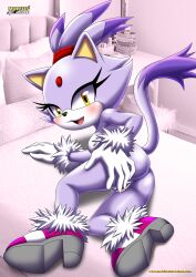 blaze the cat from sega by bbmbbf