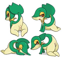 all_fours anthro anus ass b-intend female generation_5_pokemon genitals green_body multicolored_body nintendo nude open_mouth pokemon pokemon_(species) pussy red_eyes snivy solo tan_body yellow_body