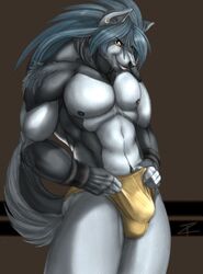 blue_hair bulge canine furry gray_fur grey_fur male male_only muscles solo thong zorrore