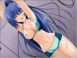 artist_request bikini blue_hair bondage breasts censored character_request closed_eyes long_hair one_breast_out open_mouth ponytail scream screaming source_request swimsuit tied_hair torn_clothes torture whip_marks