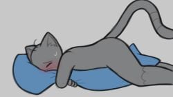 animated anthro blush bodily_fluids buttons_(milachu92) domestic_cat felid feline felis grinding humping loop male mammal masturbation milachu92 pillow pillow_humping solo solo_focus sweat sweatdrop tail tail_motion