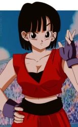 aged_up big_breasts black_eyes black_hair breasts clothed clothed_female dragon_ball dragon_ball_z exposed_midriff female female_focus female_only fingerless_gloves light-skinned_female light_skin looking_at_viewer midriff pan_(dragon_ball) salvamakoto solo solo_female solo_focus