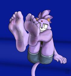 5_toes anthro barefoot blaze_the_cat feet female foot_fetish foot_focus hi_res humanoid_feet looking_at_viewer mrguy820 plantigrade sega soles solo sonic_(series) sonic_the_hedgehog_(series) toes