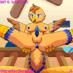 absurd_res anthro ass avian balls bedroom bedroom_eyes bird breasts facesitting first_person_view full-package_futanari futanari herm hermaphrodite hi_res hrelterskrelter intersex multi_genitalia narrowed_eyes penis pussy seductive sitting_on_another solo spread_butt spread_legs spreading