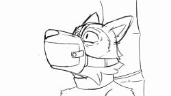 animated anthro bamboo beastars bodily_fluids bondage bondage bound canid canine canis cock_gag collar deep_throat drooling gag gagged legoshi_(beastars) male male/male mammal muzzle_(object) muzzled oral saliva smallsavant strug tongue training unfinished wolf