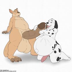 animal_genitalia animal_penis balls belly big_balls big_belly big_penis bodily_fluids canid canine canine_genitalia canine_penis canis cudacore cudacore_(cudacore) cum cum_drip dalmatian darren_(character) domestic_dog dripping erection feet genital_fluids genitals hi_res huge_balls huge_cock hyper hyper_balls hyper_genitalia hyper_penis kangaroo macropod male male/male mammal marsupial masturbation navel outie_navel paws penis pregnant pregnant_male toes