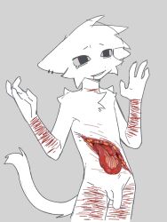 anthro balls domestic_cat felid feline felis flaccid genitals gore grey_background guts hi_res humanoid_genitalia humanoid_penis intestines male male_only male_ryona mammal organs penis self_harm self_harm_scars simple_background solo zhaobuzhaobeiii