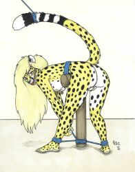 2001 anthro bent_over bondage bound bound_tail breasts cheetah feline female furry ironbadger nipples pussy vagina