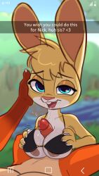 absurd_res anthro areola biped bra breast_play breasts clothed clothing disney duo english_text female fur genitals hi_res lagomorph leporid male male/female mammal maple_(siroc) maple_hopps_(siroc) nick_wilde nipples paizuri penis rabbit selfie sex siroc text titjob underwear yellow_body zootopia