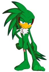 absurd_res accipitrid accipitriform avian balls barefoot beak bird countershade_feet countershading feet foot_ninja15 genitals hi_res jet_the_hawk male male_only non-mammal_balls nude penis sega soles solo sonic_(series) sonic_riders sonic_the_hedgehog_(series) spread_toes toes