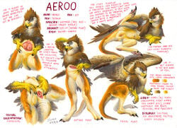 2011 aeroo avian blush breasts female gryphon model_sheet nude on_side pouch pussy raised_leg scale solo spread_legs spread_pussy spreading wings