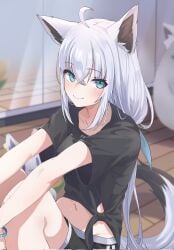 ahoge angeldu animal_ear_fluff animal_ears black_shirt black_shorts blurry blurry_background braid commentary_request earrings female fox_ears fox_girl fox_tail green_eyes hair_between_eyes highres hololive hololive_gamers hololive_gen_1 hololive_japan jewelry knees_up long_hair looking_at_viewer shirakami_fubuki shirt shorts sidelocks single_braid sitting sukonbu_(shirakami_fubuki) tail virtual_youtuber white_hair