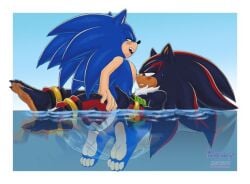 cum_in_pussy cuntboy cuntboy/male intersex male shadow_the_hedgehog sonadow sonic_(series) sonic_the_hedgehog sonic_the_hedgehog_(series) vaginal vaginal_penetration